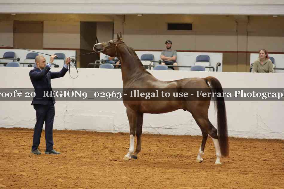 Proof 20_REGION9_02963