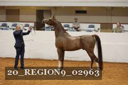 20_REGION9_02963 proof