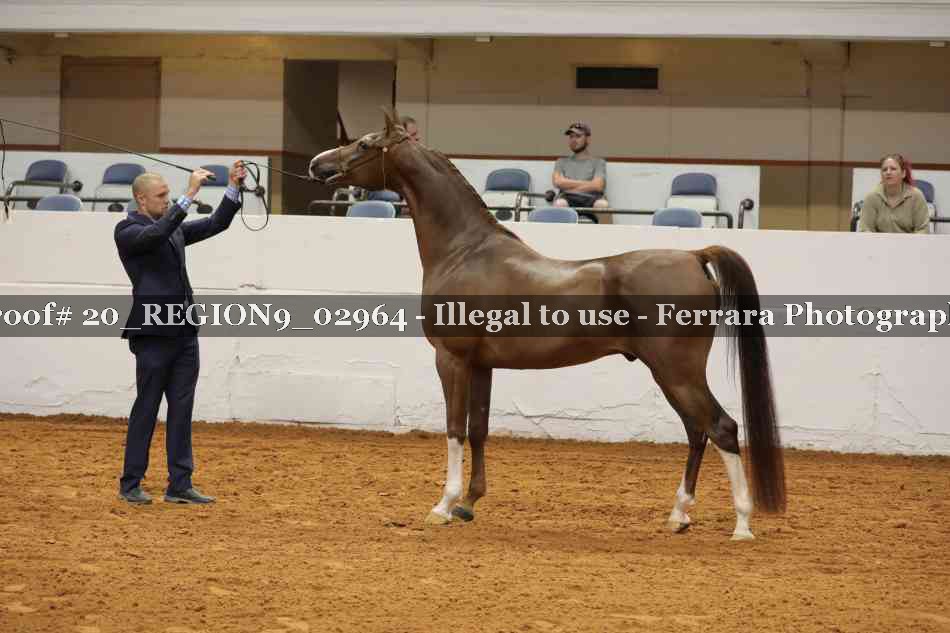 Proof 20_REGION9_02964