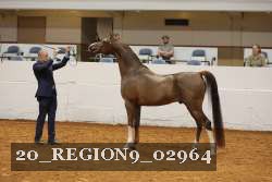 20_REGION9_02964 proof