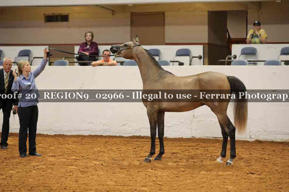 Proof 20_REGION9_02966