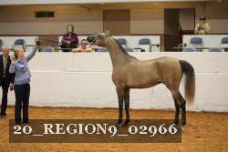20_REGION9_02966 proof