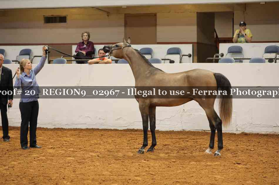 Proof 20_REGION9_02967