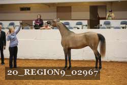 20_REGION9_02967 proof