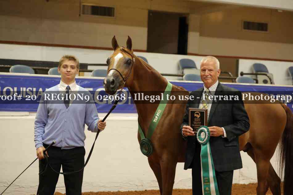 Proof 20_REGION9_02968