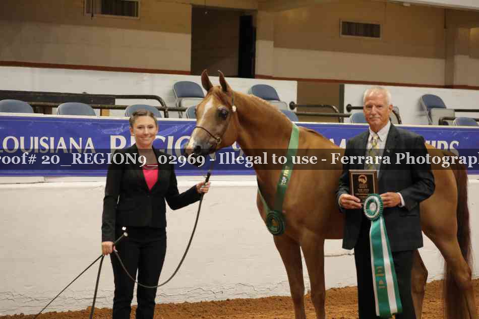 Proof 20_REGION9_02969