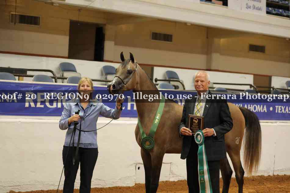 Proof 20_REGION9_02970