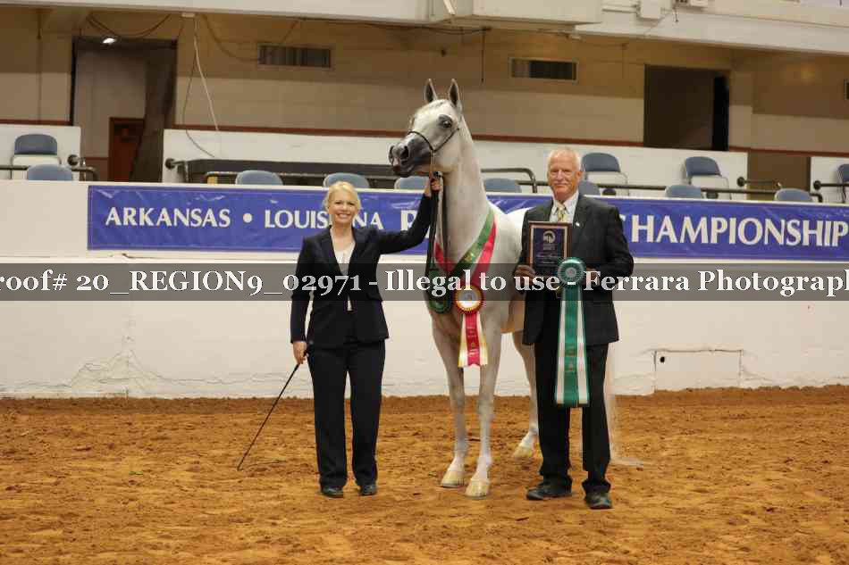 Proof 20_REGION9_02971