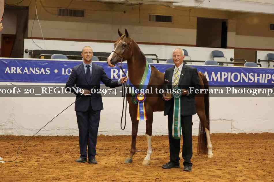 Proof 20_REGION9_02974