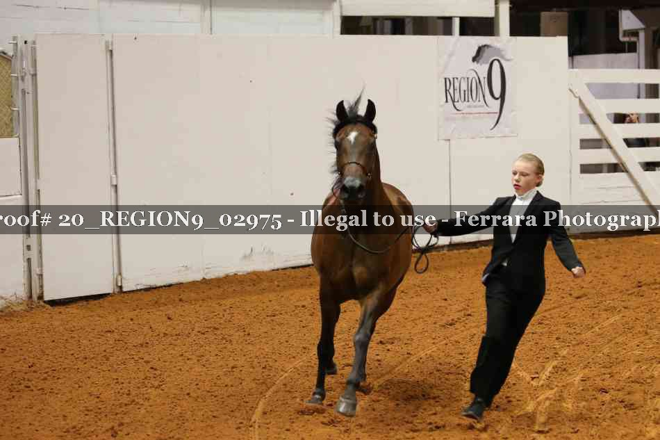 Proof 20_REGION9_02975