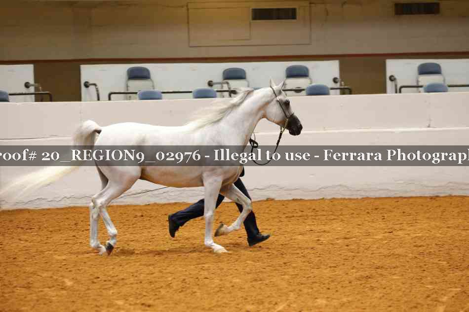 Proof 20_REGION9_02976