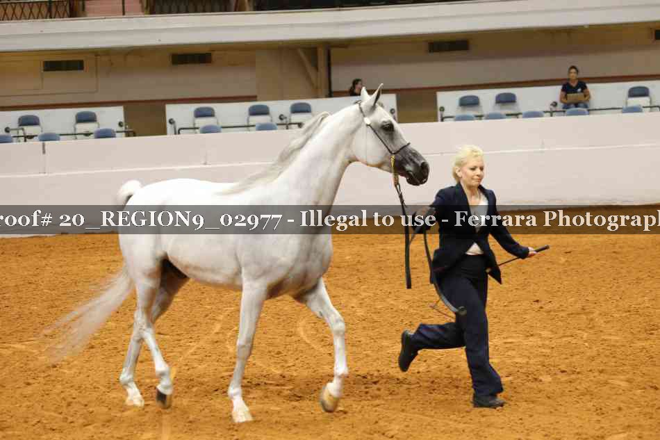 Proof 20_REGION9_02977