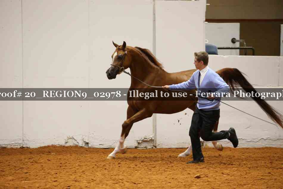 Proof 20_REGION9_02978
