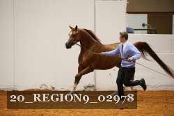 20_REGION9_02978 proof