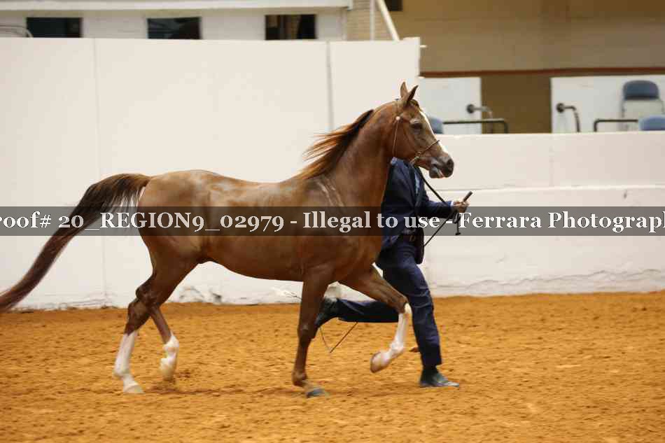 Proof 20_REGION9_02979
