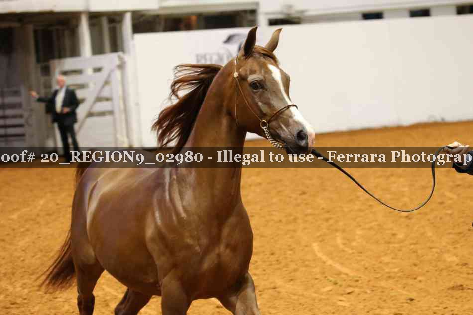 Proof 20_REGION9_02980