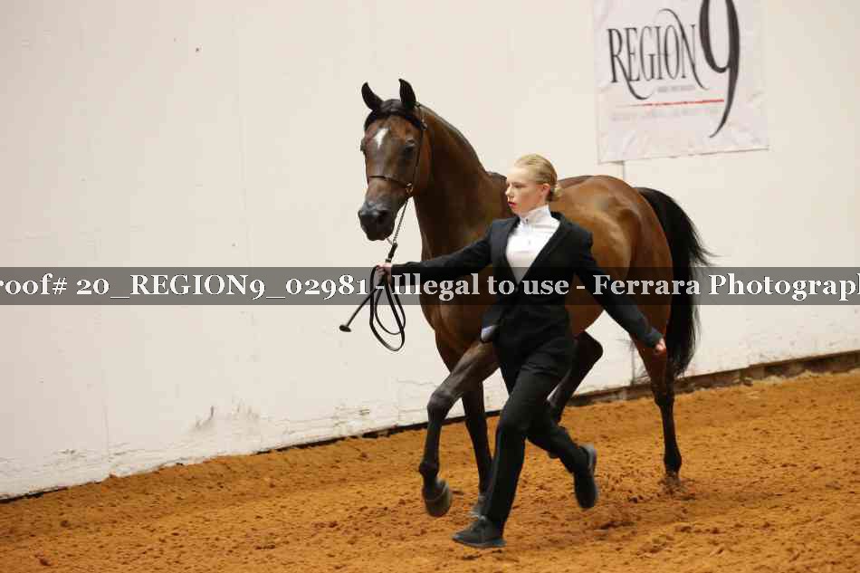 Proof 20_REGION9_02981