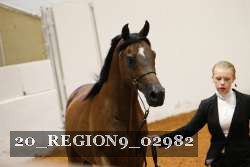 20_REGION9_02982 proof