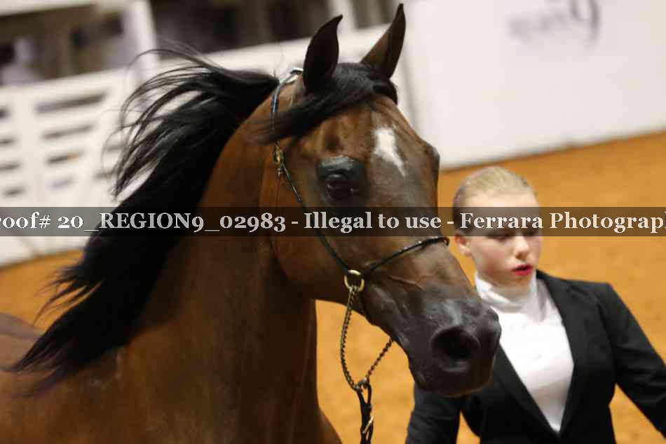 Proof 20_REGION9_02983