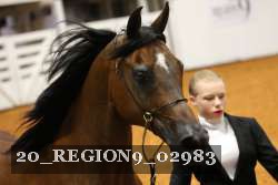 20_REGION9_02983 proof