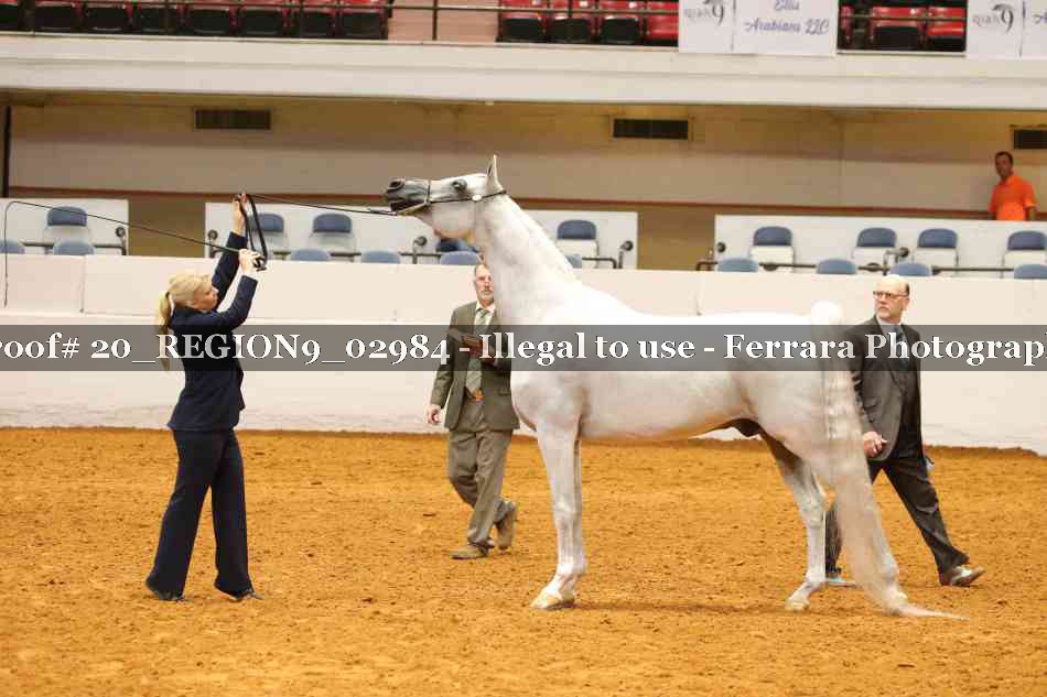 Proof 20_REGION9_02984