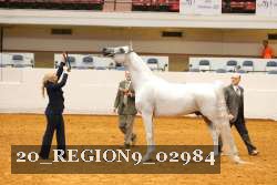 20_REGION9_02984 proof