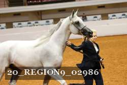 20_REGION9_02986 proof