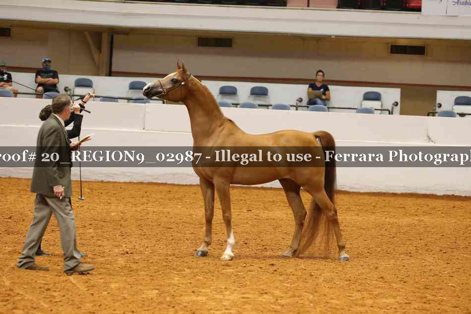 Proof 20_REGION9_02987