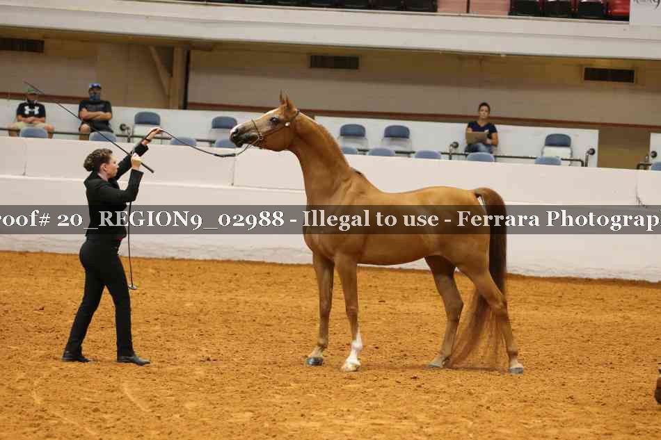 Proof 20_REGION9_02988