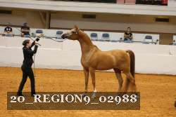 20_REGION9_02988 proof