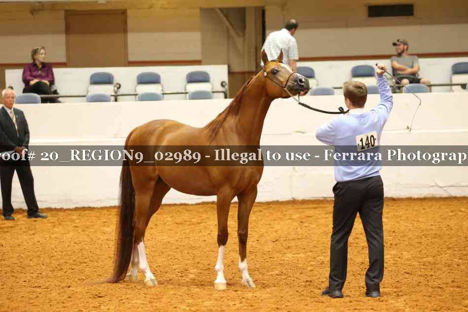 Proof 20_REGION9_02989
