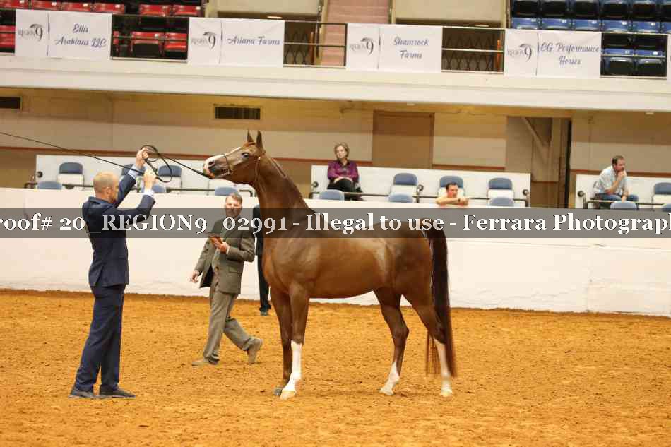 Proof 20_REGION9_02991
