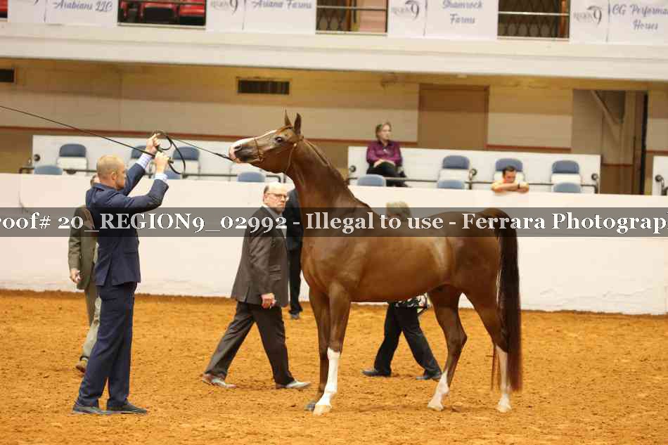 Proof 20_REGION9_02992