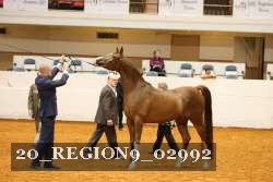 20_REGION9_02992 proof
