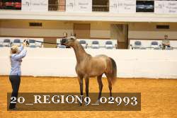 20_REGION9_02993 proof
