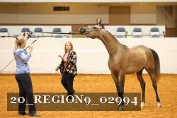 20_REGION9_02994 proof