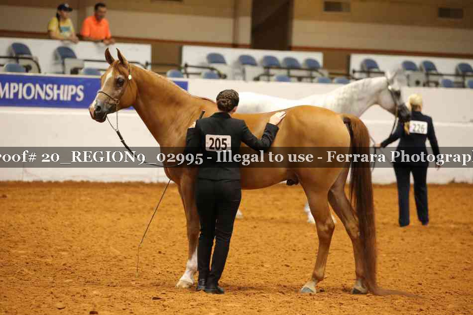 Proof 20_REGION9_02995