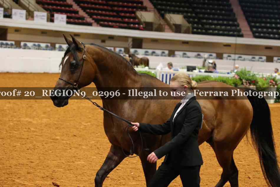 Proof 20_REGION9_02996
