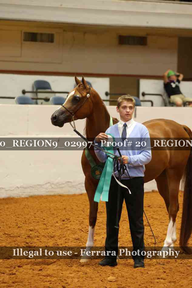 Proof 20_REGION9_02997