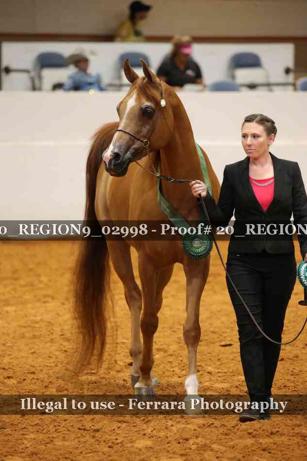 Proof 20_REGION9_02998