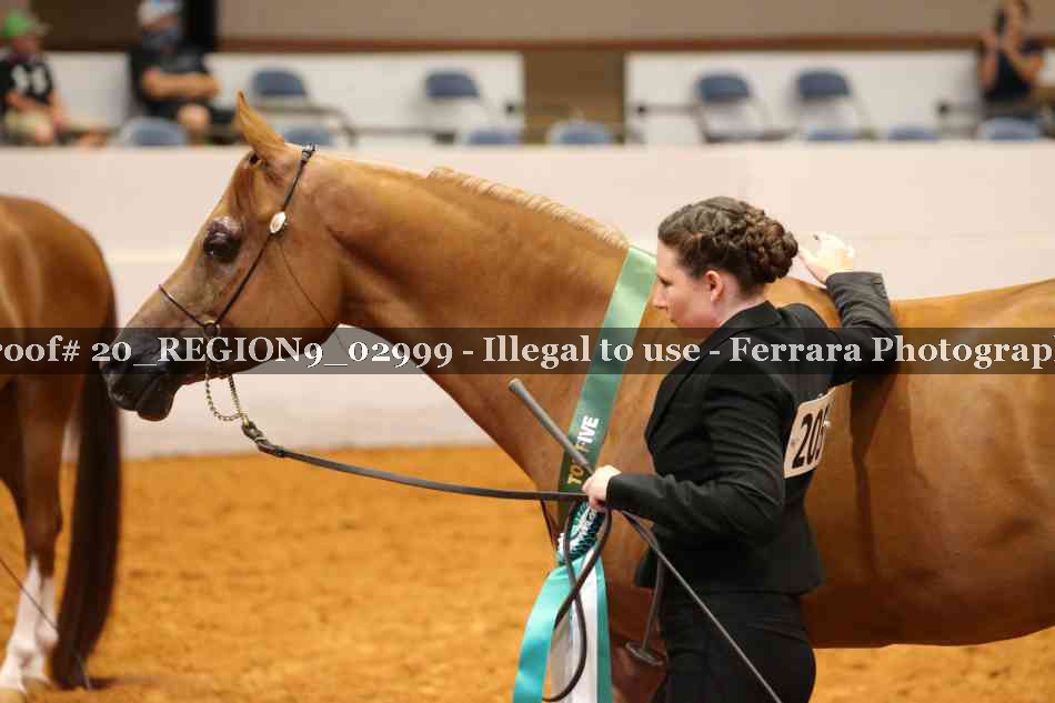 Proof 20_REGION9_02999