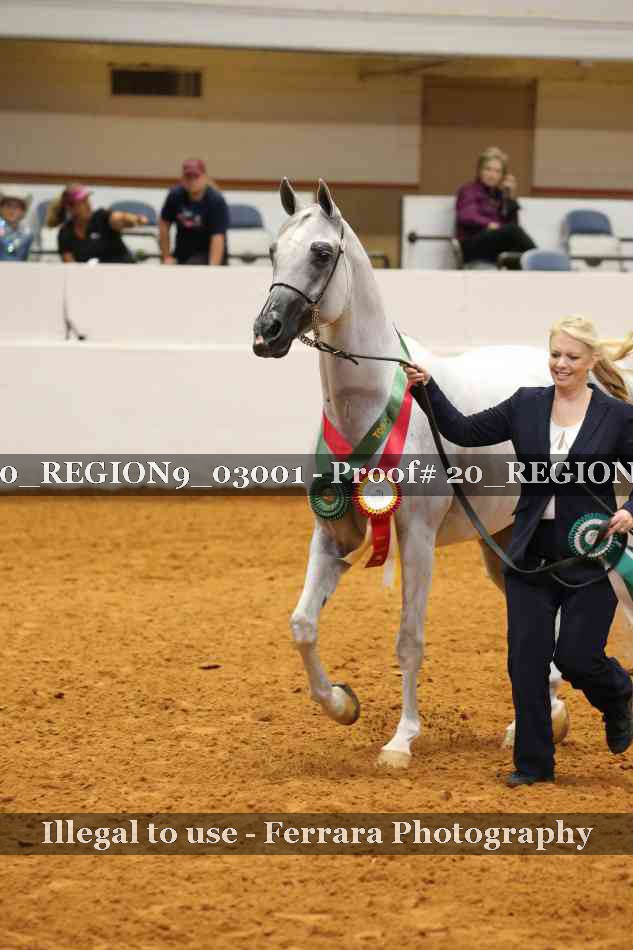 Proof 20_REGION9_03001