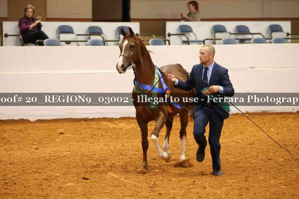 Proof 20_REGION9_03002
