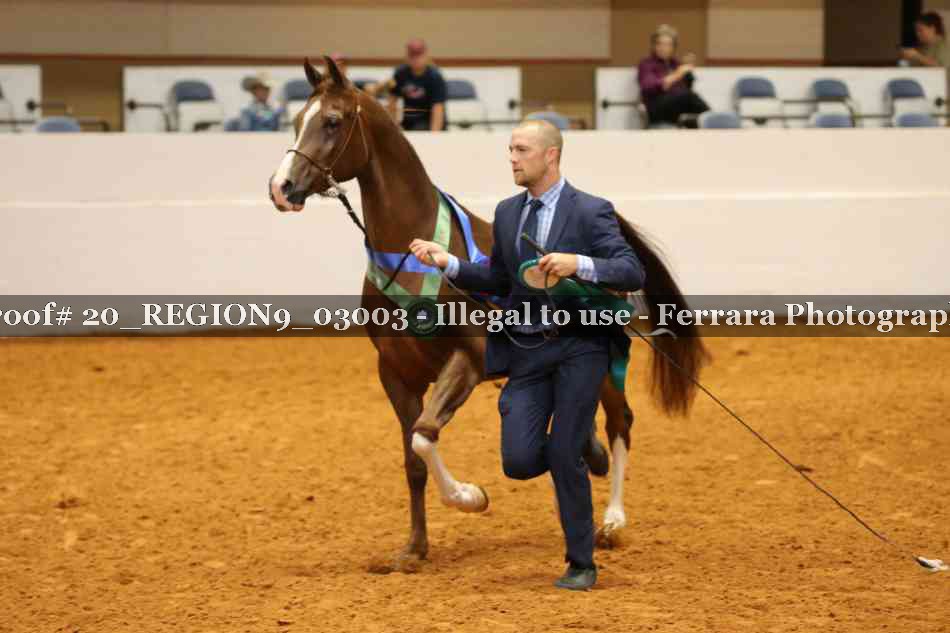 Proof 20_REGION9_03003