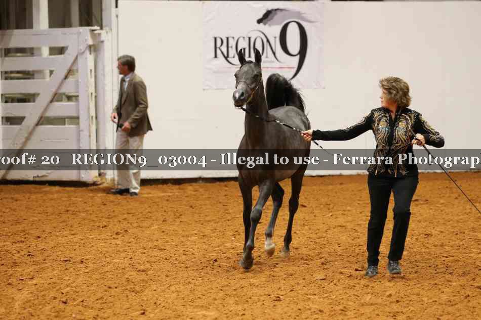 Proof 20_REGION9_03004