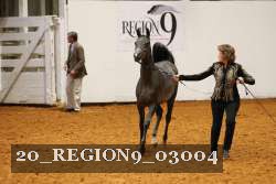 20_REGION9_03004 proof
