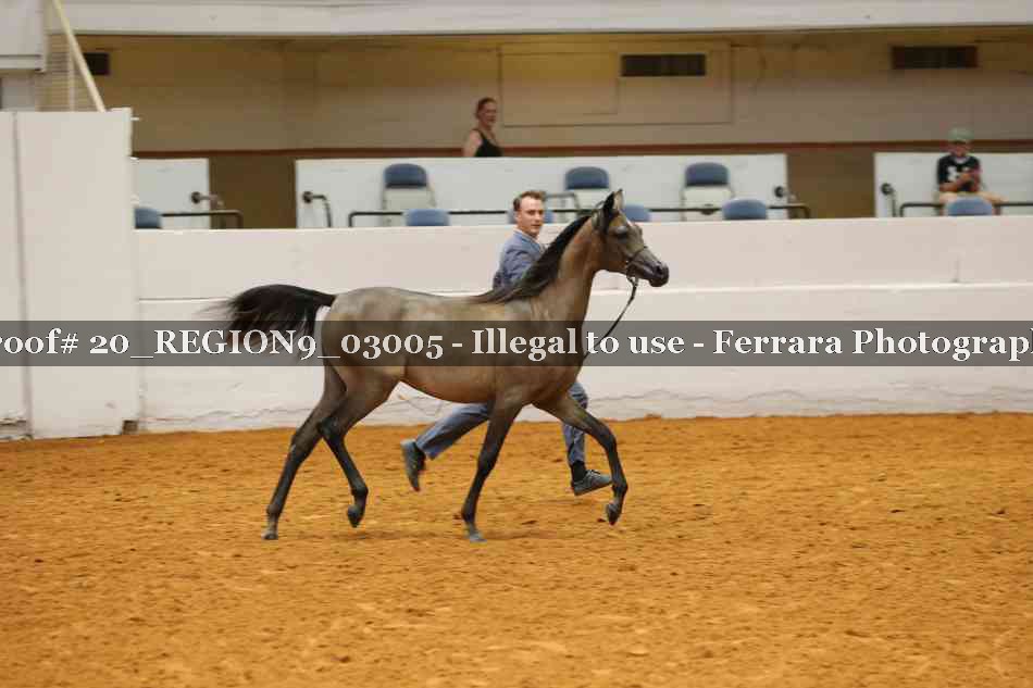 Proof 20_REGION9_03005