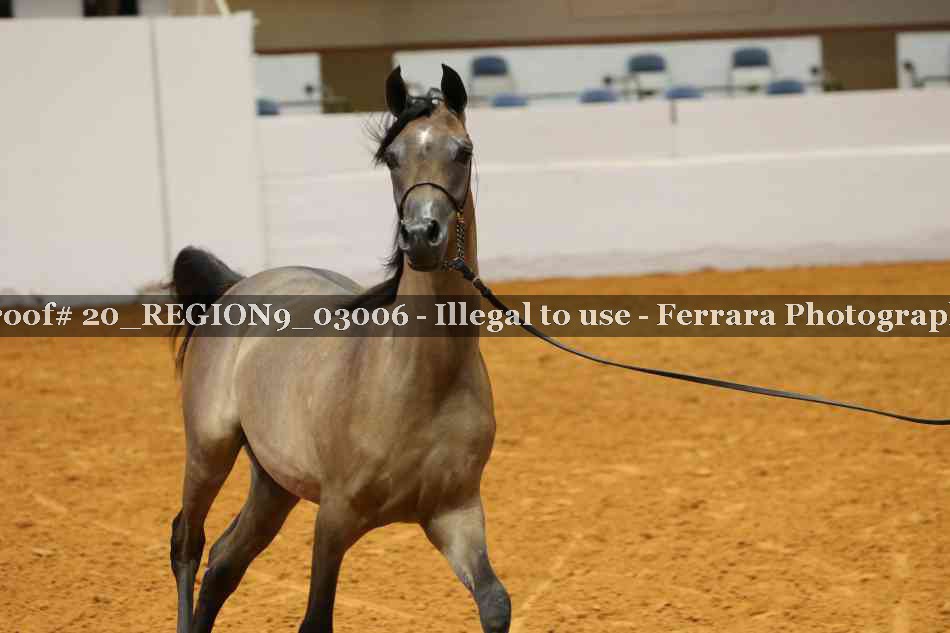 Proof 20_REGION9_03006