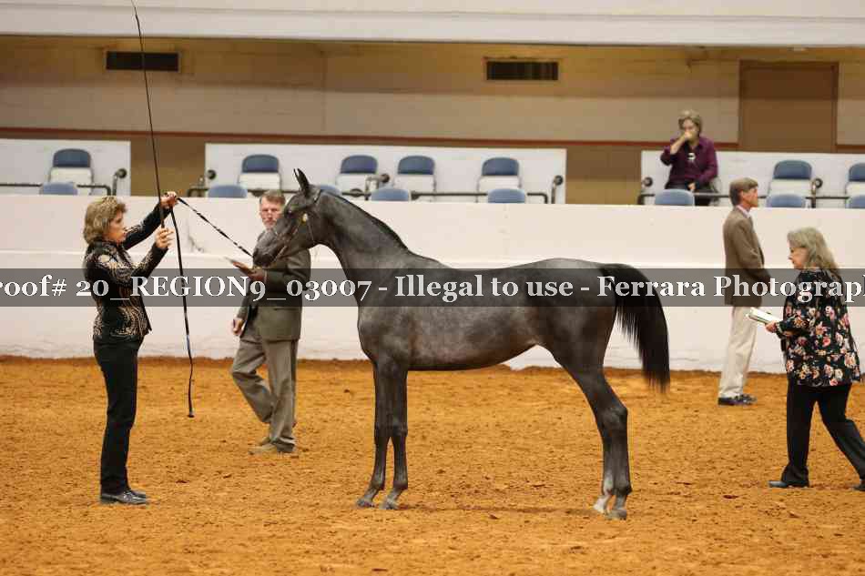 Proof 20_REGION9_03007