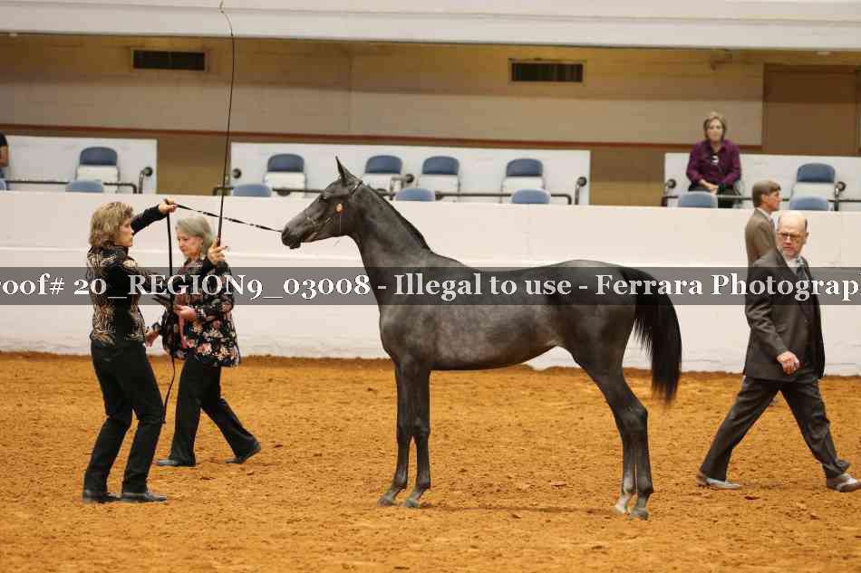 Proof 20_REGION9_03008
